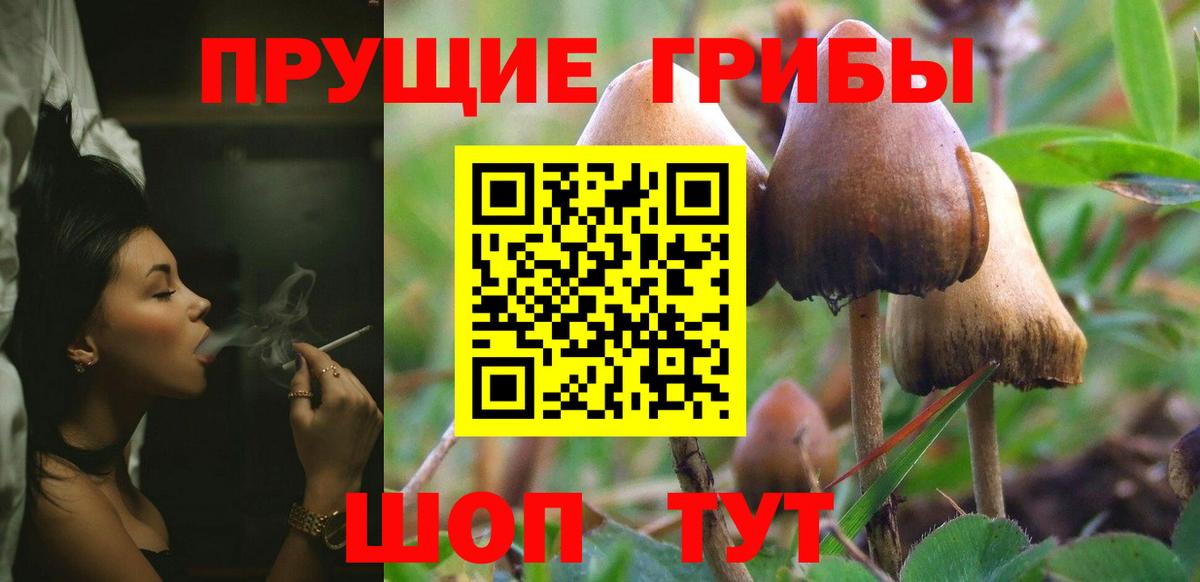 ГАШ Лыткарино