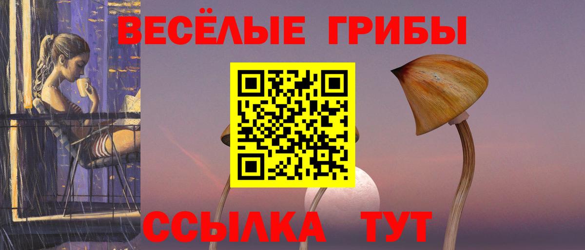 Псилоцибиновые грибы ЛСД Лыткарино